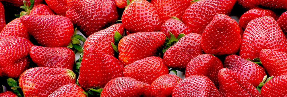 Las fresas, fuente de vitamina C