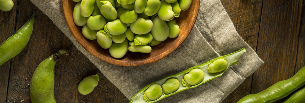 Habas, una legumbre milenaria