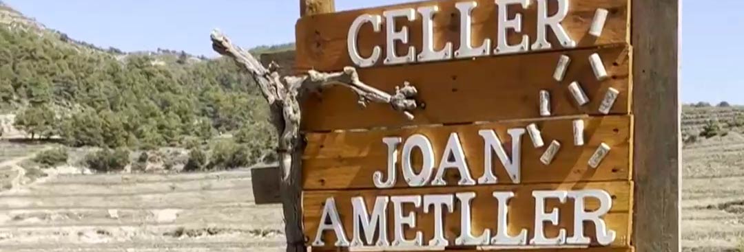 Descobreix els secrets de les nostres vinyes del Priorat!