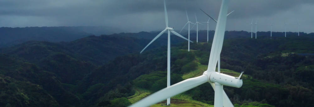 Día Mundial del Medioambiente: avanzamos hacia la neutralidad de emisiones en 2027