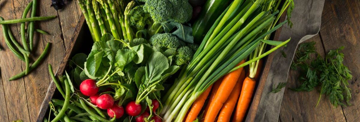 Día Mundial de las Verduras Frescas: ¿por qué son tan importantes para tu salud?