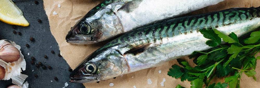 4 hàbits saludables que ajuden a prevenir l’Alzheimer