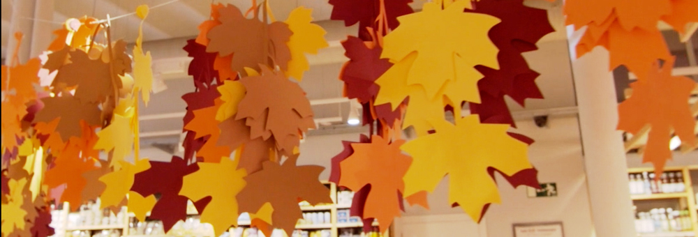 La tardor és nostra i de la Fundació Ampans!