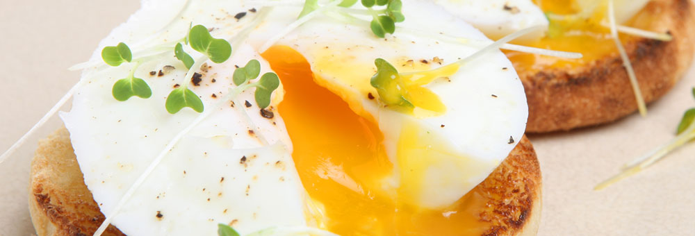 Aprèn totes les propietats dels ous