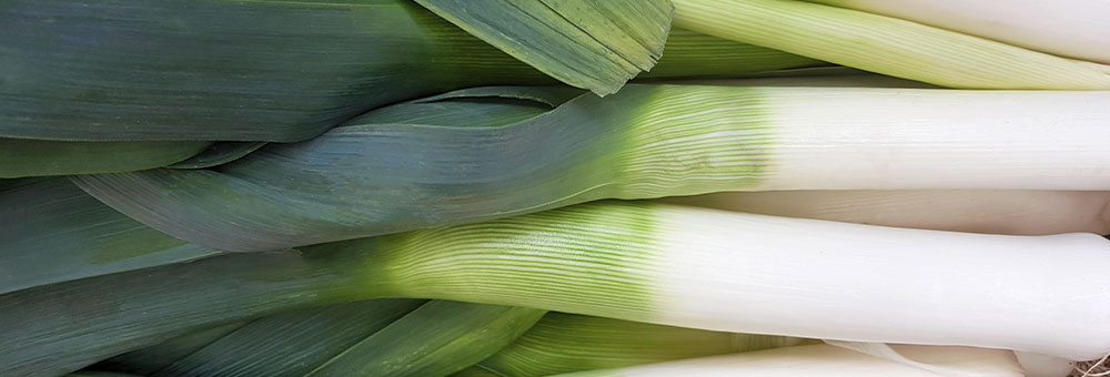 Aprofita-ho tot del porro