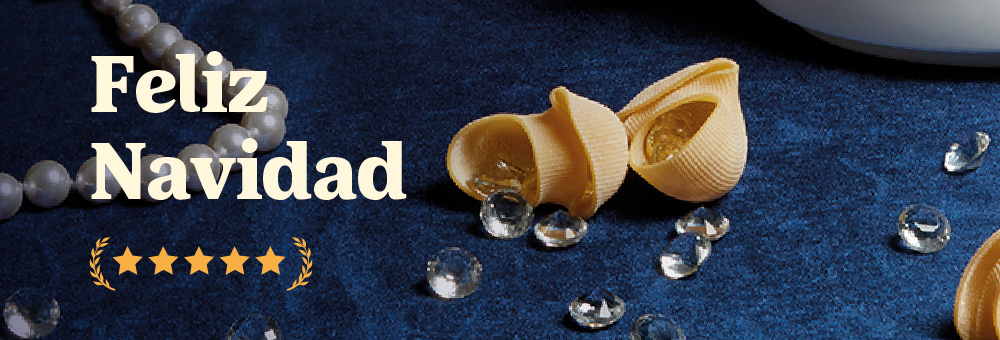 ¡Feliz Navidad y felices fiestas!
