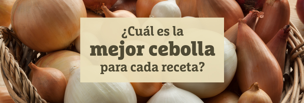 Cebollas para todos los gustos y recetas