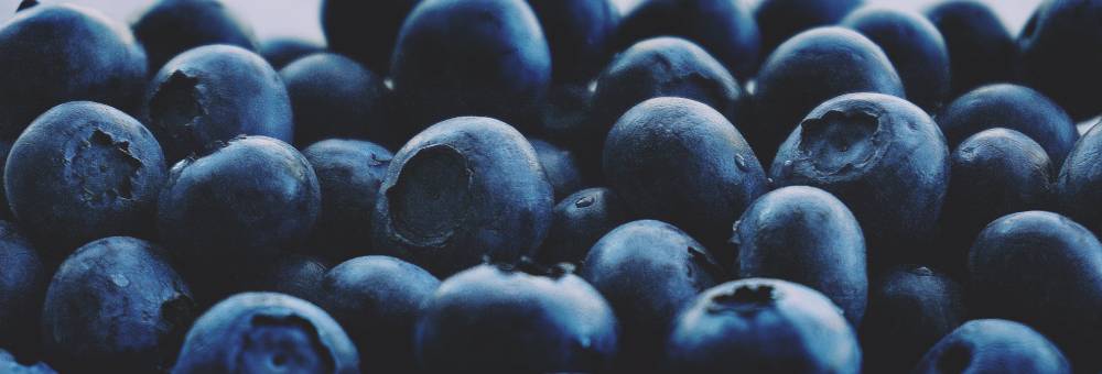 Los arándanos, una fruta con gran capacidad antioxidante