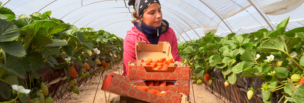 Mujeres con Origen, nuestro motor