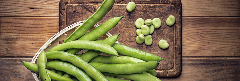 Las habas, una de las legumbres más antiguas, fuente de fibra, potasio y proteína