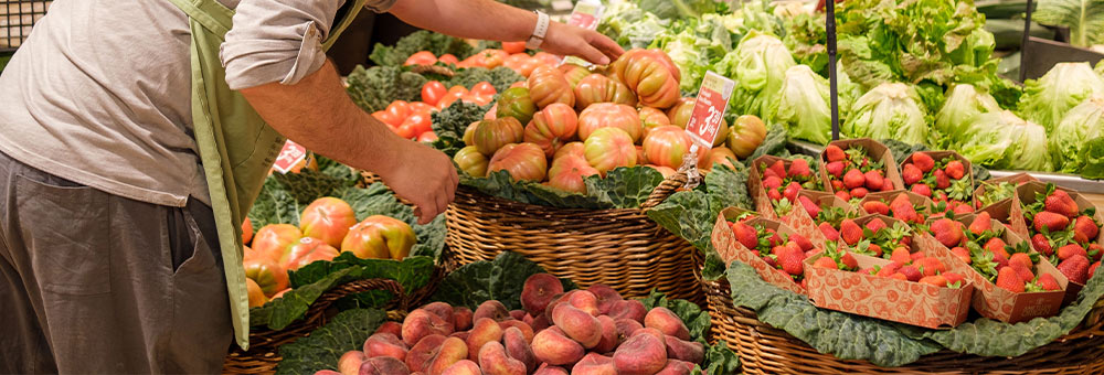 Fes estiu amb el nou horari!