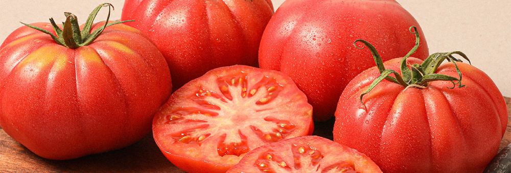 El tomàquet Monterosa, un regal per al paladar