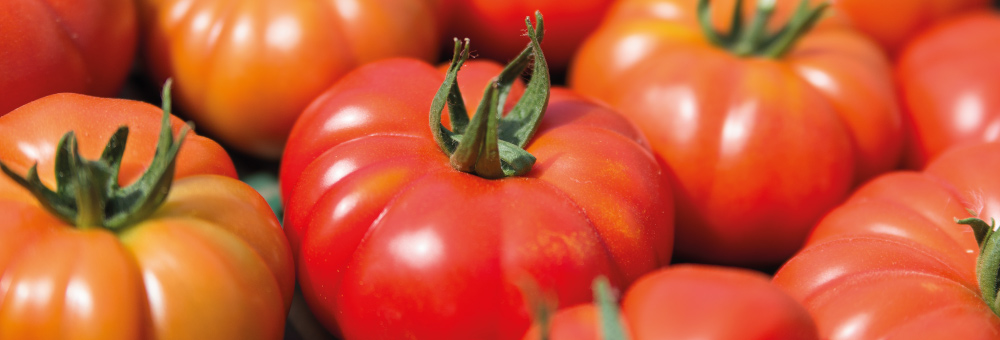 Per què els tomàquets són vermells?