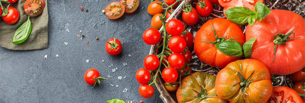 Els tomàquets, una hortalissa amb més de 100 varietats