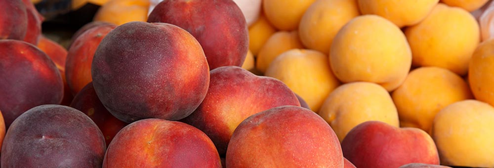 Saps quines diferències hi ha entre el préssec de vinya i el préssec vermell?