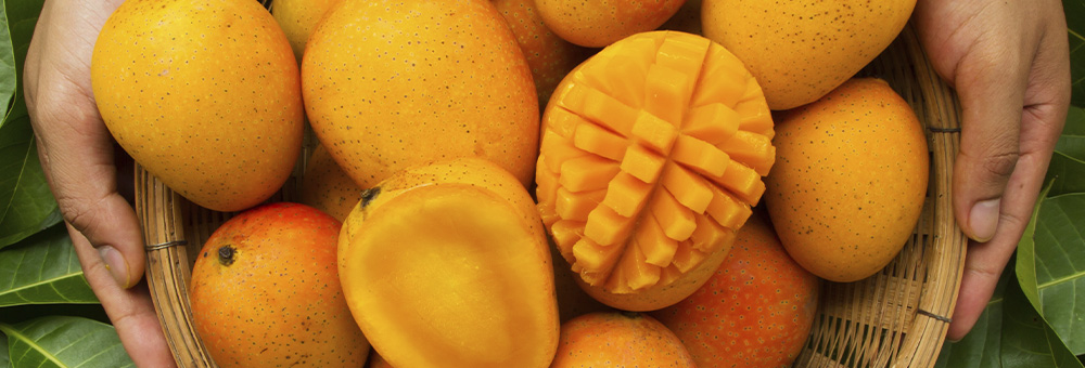 El mango, font de vitamina A, ferro i fibra
