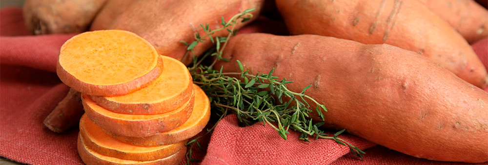 Quins beneficis té el moniato per a la salut?