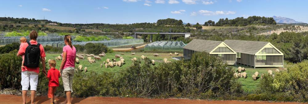 Luz verde para iniciar la implantación del Agroparc