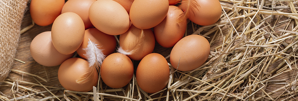 ¿Sabes qué son los huevos de primera puesta?