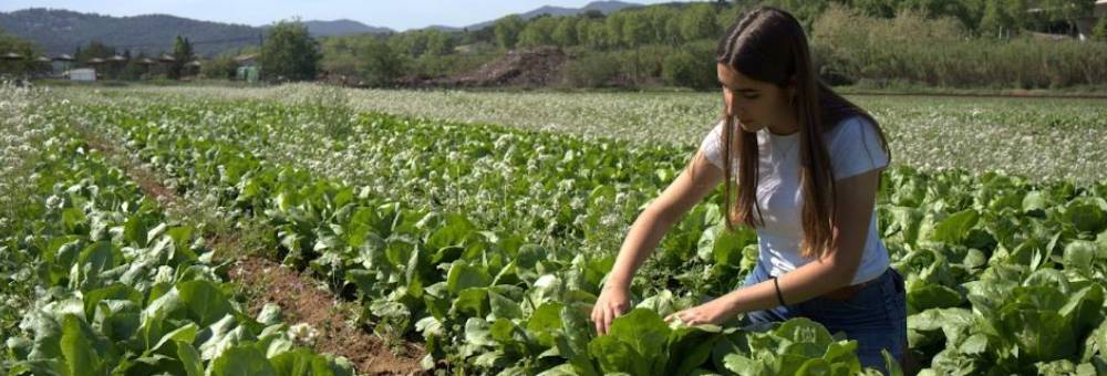 Nosaltres decidim què conreem i com ho conreem