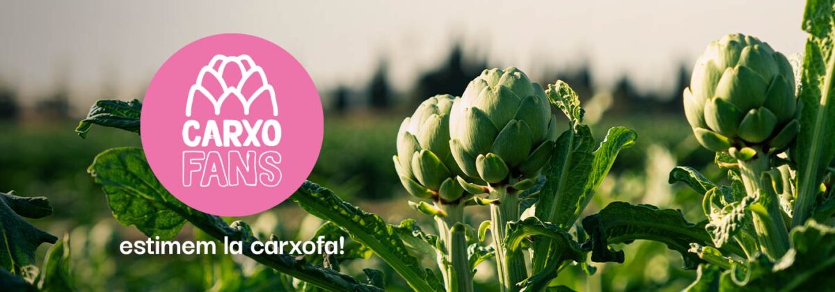 Carxofans, el primer club de productors de la carxofa