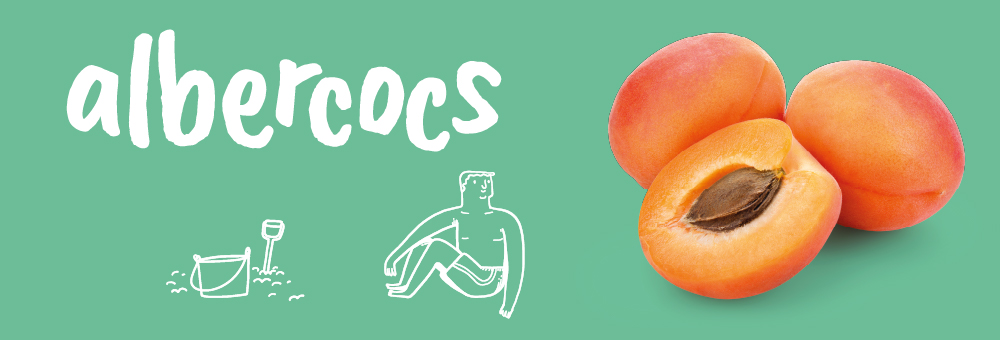 Descobreix com cultivem els nostres albercocs!