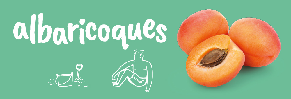 Descubre el secreto de nuestros albaricoques