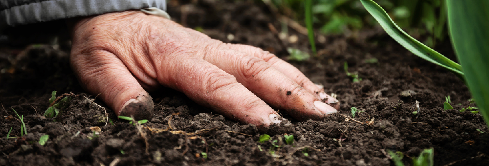 Seguim avançant cap a la neutralitat d’emissions!