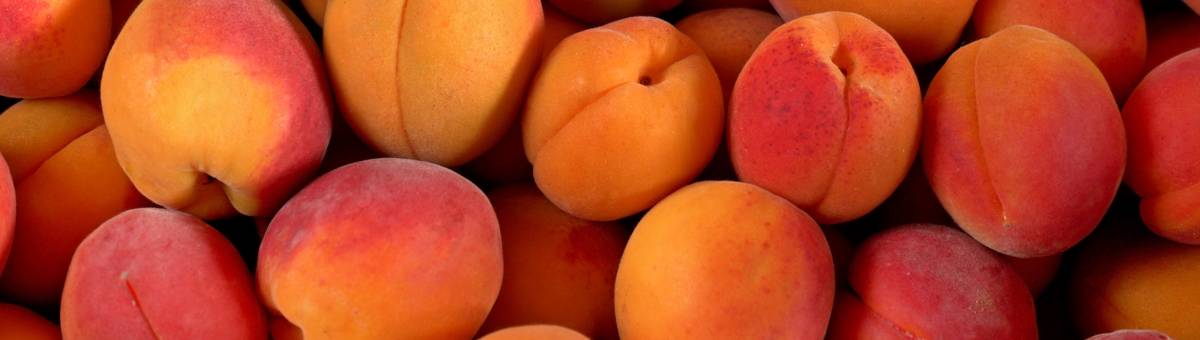 Broquetes amb el nostre albercoc perla!